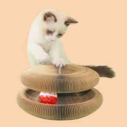 Foldable Cat Scratcher Toy with Bell